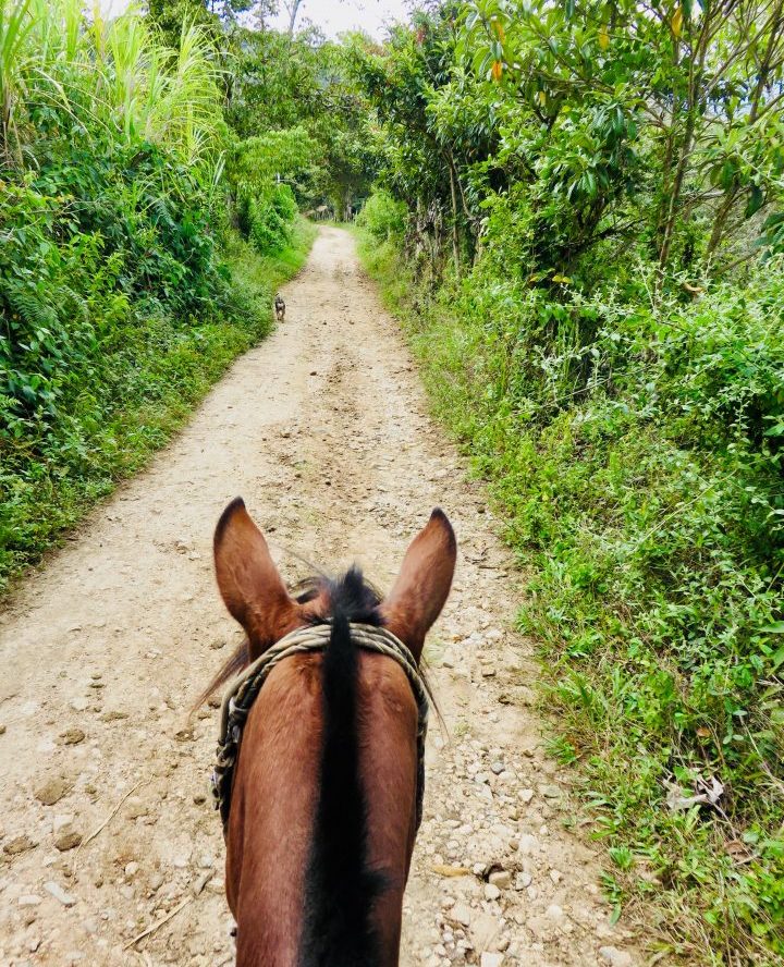 Horseback riding in San Agustin Colombia; Colombia Travel Blog Inspirations