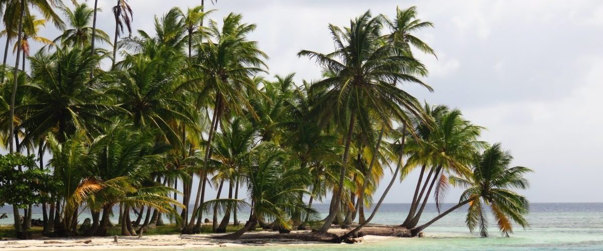 Palm Trees on islands of San Blas Islands Panama; Panama Travel Blog Inspirations