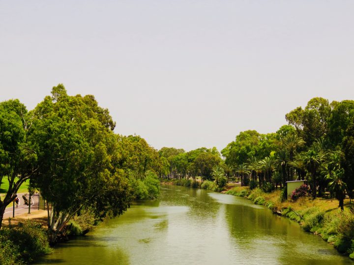 Yarkon Park by bike in Tel Aviv Israel ; Tel Aviv City Trip Travel Blog Inspirations