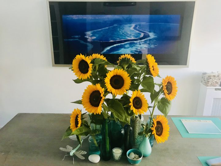 Sun Flowers for decorations in Creativity; Creativity Tips and inspirations Blog