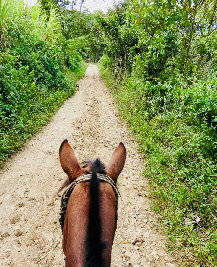 Horseback riding in San Agustin area Colombia; Colombia Travel Blog Inspirations