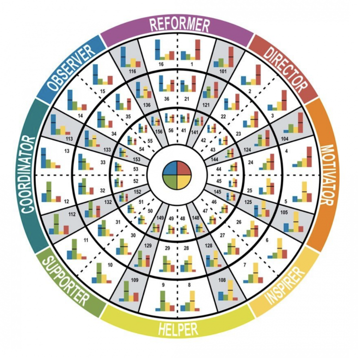 The Insights Wheel for blog Business; Business and Mind Tips and Inspirations Blog