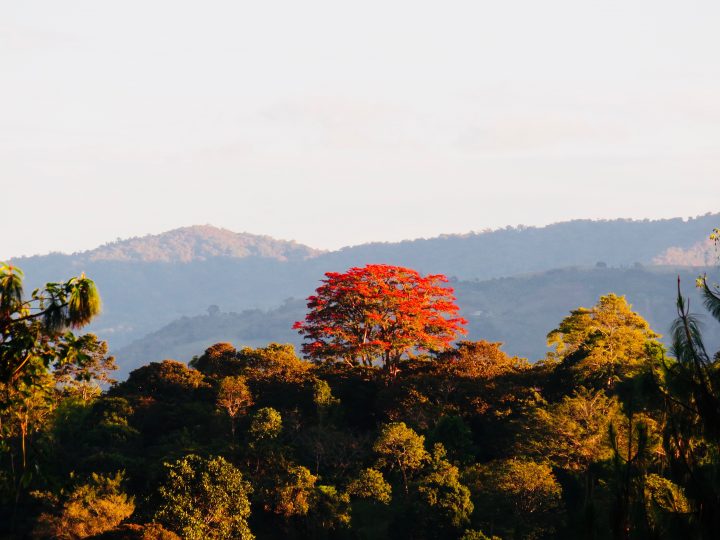 View balcony from Finca El Cielo in San Agustin Colombia; Colombia Travel Blog Inspirations