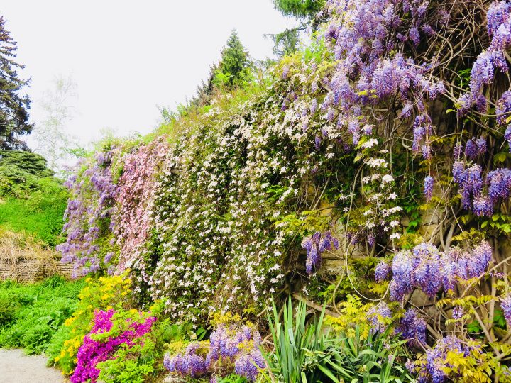 Garden on Petřin Hill in Prague; Prague City Trip Travel Blog Inspirations