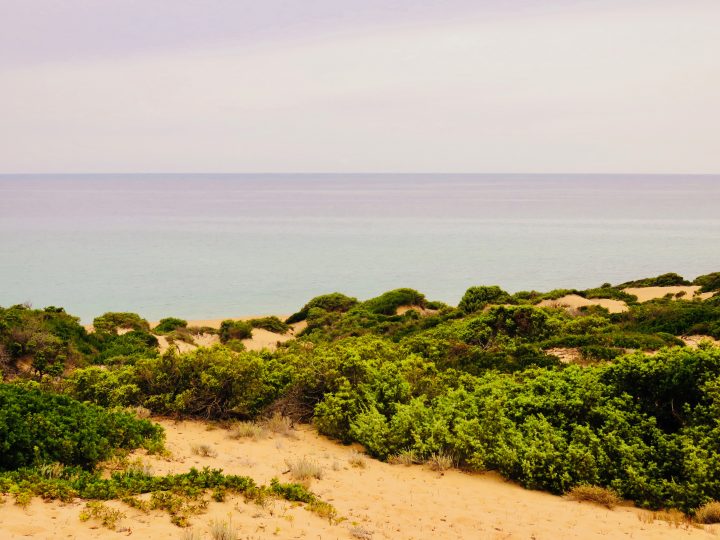 Dunes in Costa Verde Southwest Sardinia, Sardinia Travel Blog Inspirations