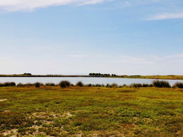 Landscape with flamingos in West Sardinia, Sardinia Travel Blog Inspirations