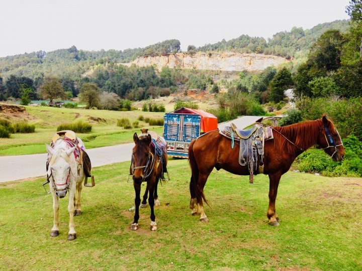 Horseback riding to Chamula San Cristobal de Las Casas Mexico, Mexico Travel Blog Inspirations