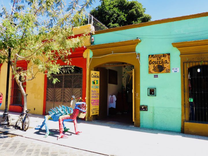 Mercado Cosecha in Oaxaca Mexico, Mexico Travel Blog Inspirations