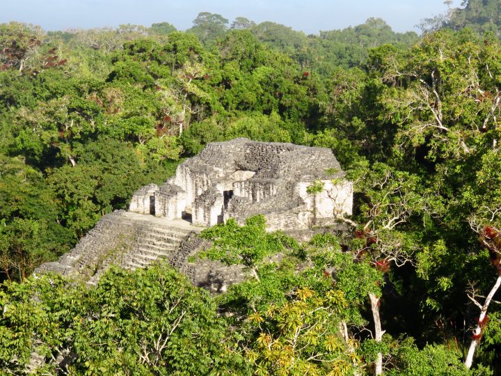 Mundo Perdido at the archaeological site Tikal Guatemala, Guatemala Travel Blog