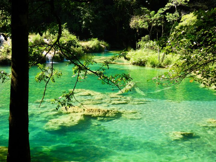 Green pools at Semuc Champey Guatemala, Guatemala Travel Blog