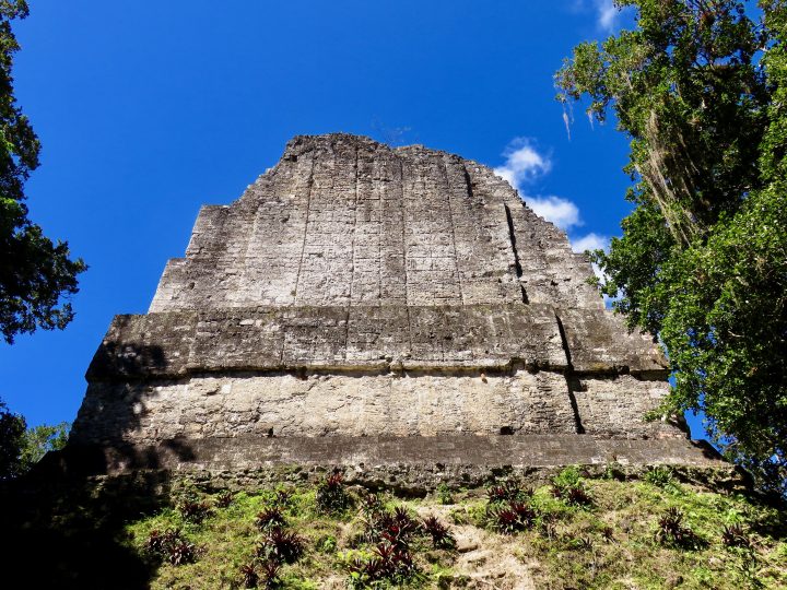 Templo VI archaeological site Tikal Guatemala, Guatemala Travel Blog