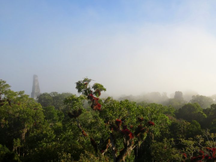 View Plaza 7 at the archaeological site Tikal Guatemala, Guatemala Travel Blog