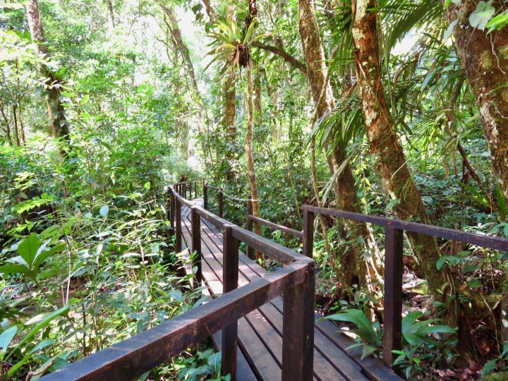 Walk to viewpoint Semuc Champey Guatemala, Guatemala Travel Blog