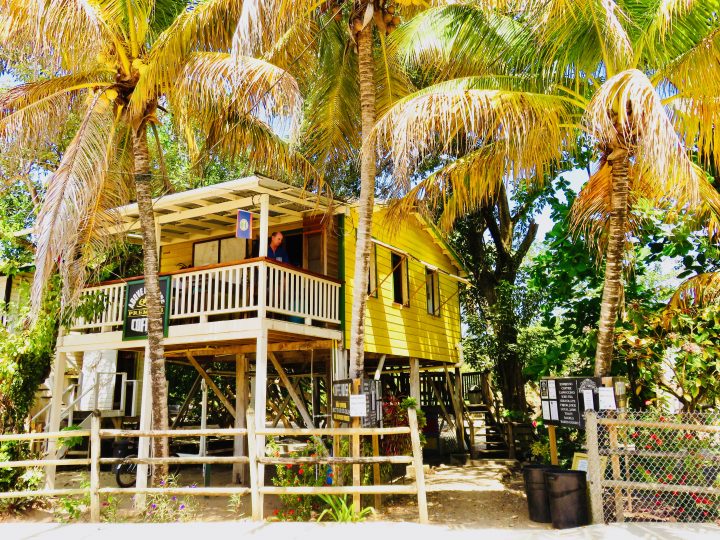 Coffee at Above Grounds Restaurant in Placencia Belize, Belize Travel Blog