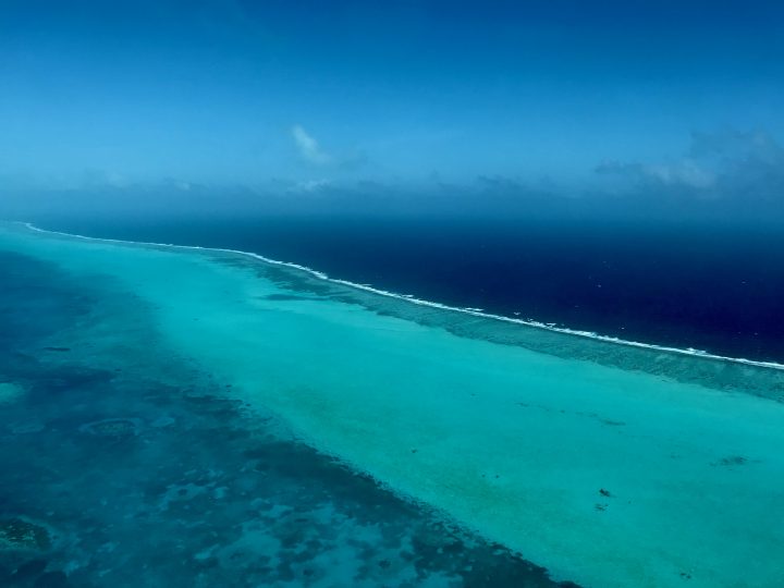 Barrier Reef with Tropical Air to Blue Hole Belize, Belize Travel Blog