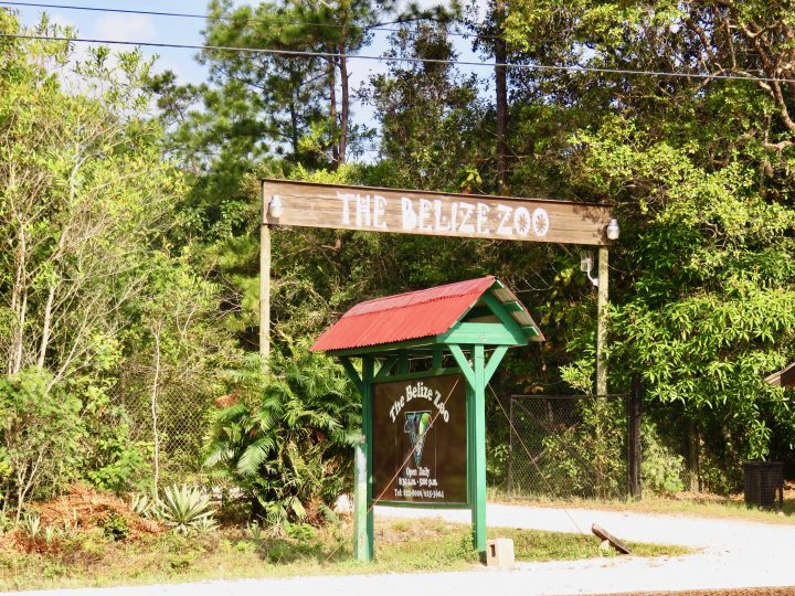 Entrance at the Belize Zoo in Belize, Belize Travel Blog