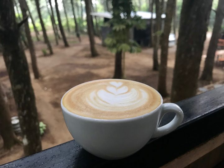 Delicious Coffee at restaurant and cafe TaYua Bosque on the Ruta de las Flores El Salvador, El Salvador Travel Blog