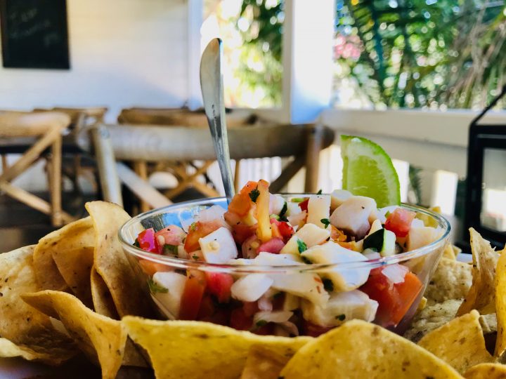 Conch Ceviche at Rumfish and Vino Restaurant in Placencia Belize, Belize Travel Blog