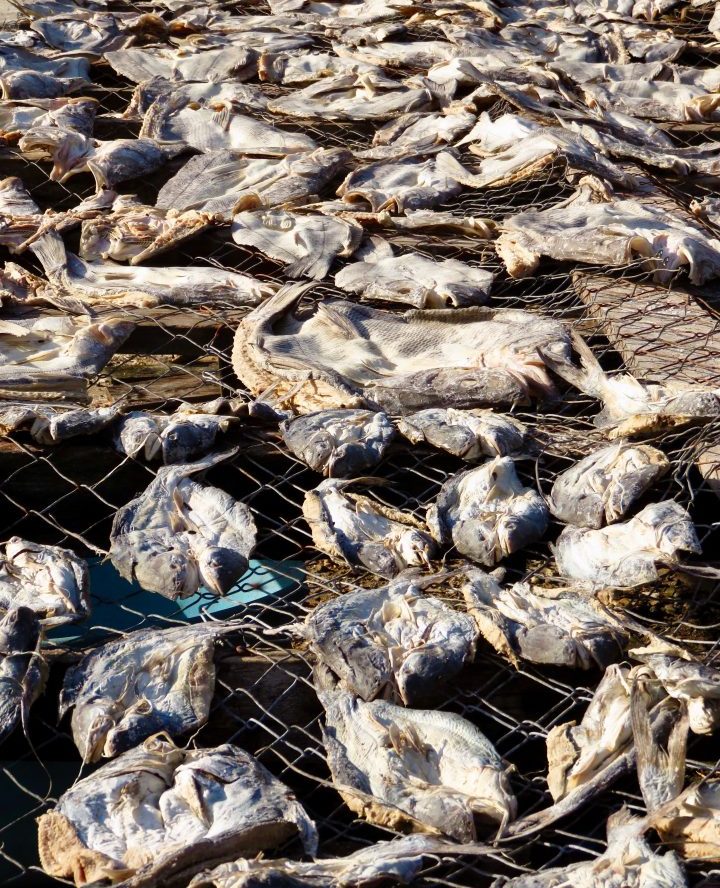 Dried Fish in Lívingston Guatemala, Guatemala Travel Blog