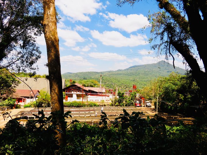 Coffee Farm El Carmen in Ataco on the Ruta de las Flores El Salvador, El Salvador Travel Blog