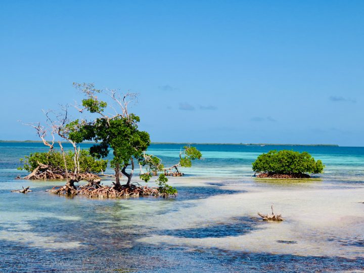 Visiting Ragga Caye during Sailing tour Raggamuffin Belize, Belize Travel Blog