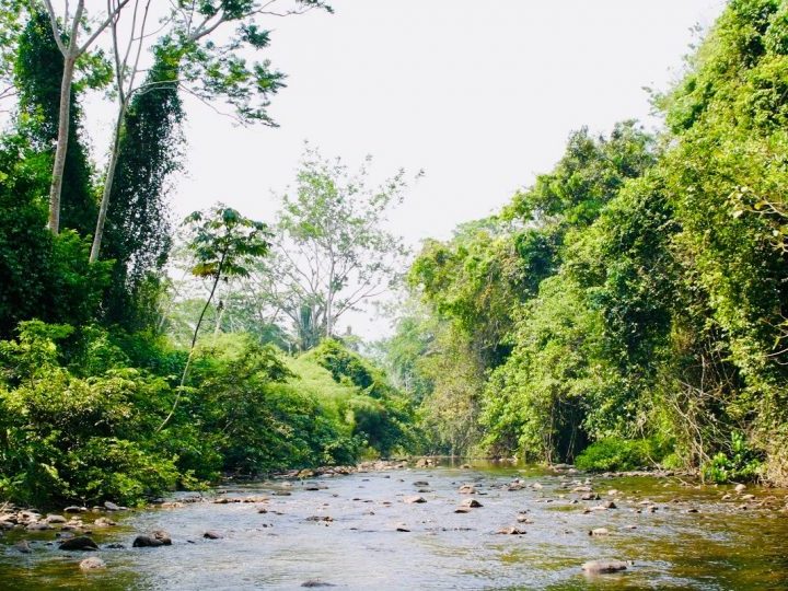 Roaring River on our way to the Maya Actun Tunichil Muknal (ATM) cave in Belize, Belize Travel Blog