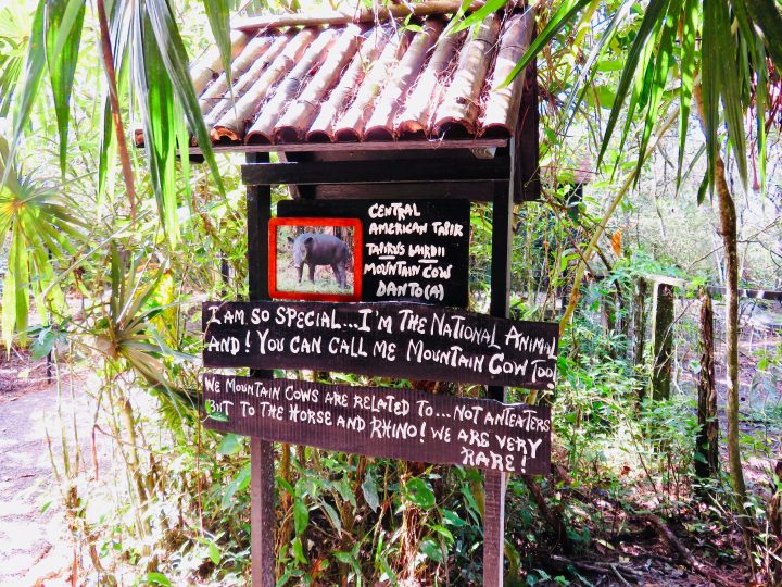 Signs and explanation at the Belize Zoo in Belize, Belize Travel Blog