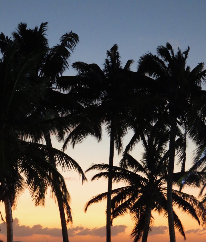 Sunset and Palms on Caye Caulker Belize, Belize Travel Blog