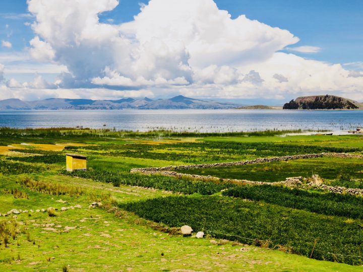 Lake Titicaca around Puno Peru, travel blog Peru