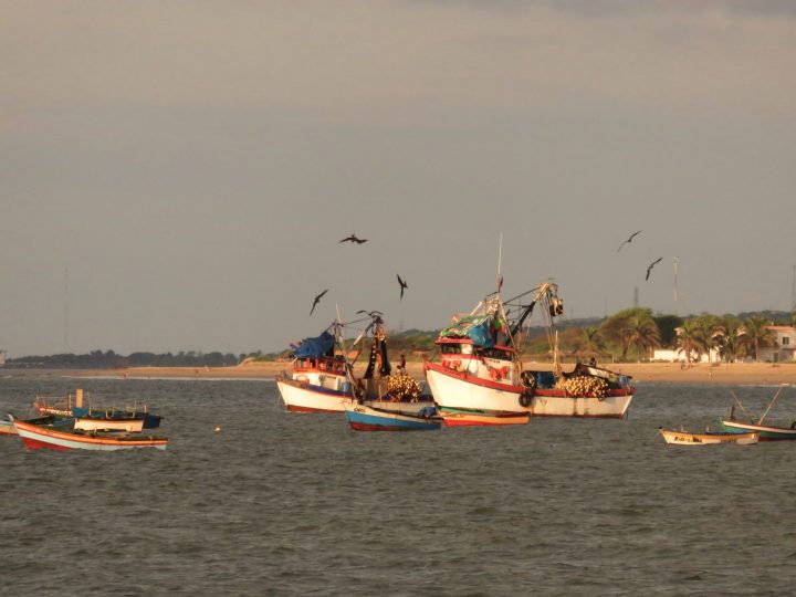 Fisherboats Zorritos Máncora Peru, travel blog Peru