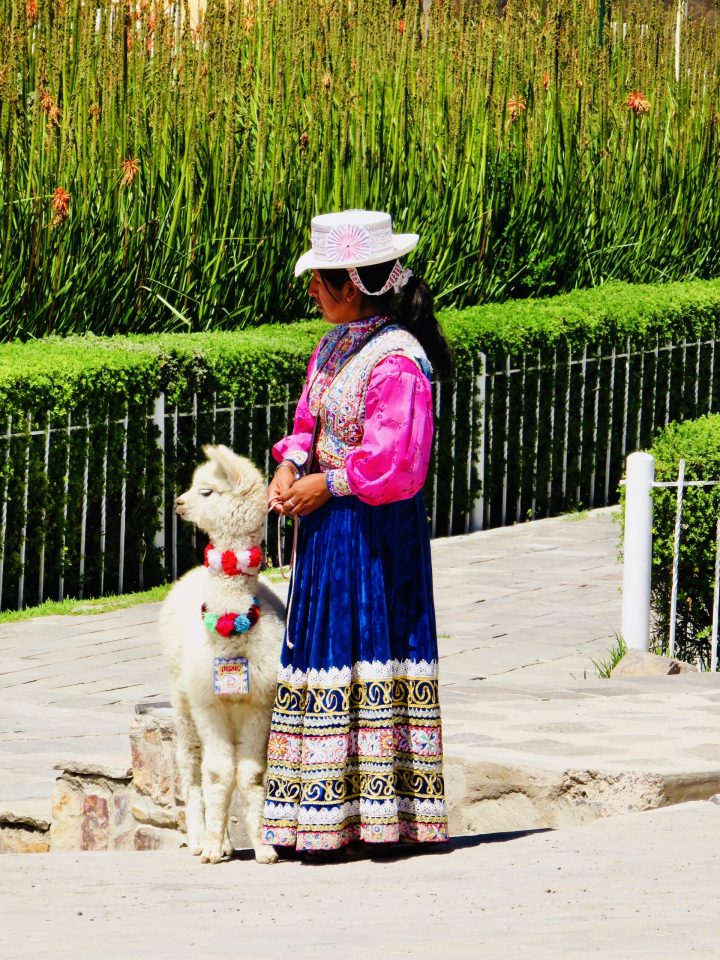 Women with Lama young in Peru, Peru Travel Blog