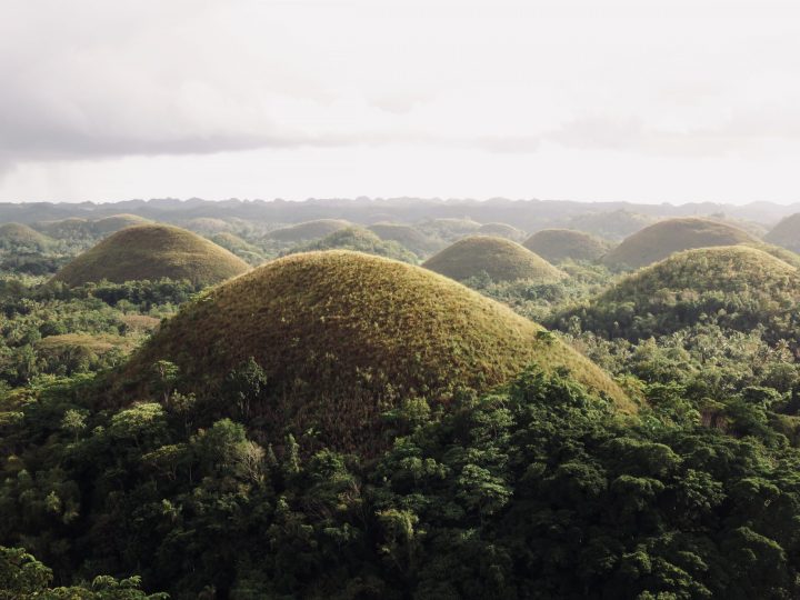 Chocolate Hill Bohol Philippines Travel Blog