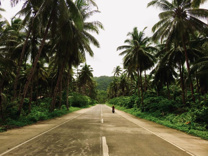 Coconut Road Surfing Siargao Philippines Travel Blog