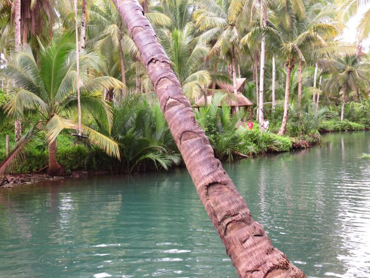 Jump in to the Maasin River with a rope, Surfing Siargao Philippines Travel Blog