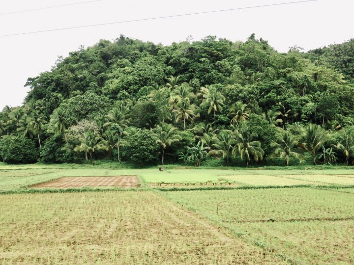 View with motorbike around Siargao Philippines Travel Blog