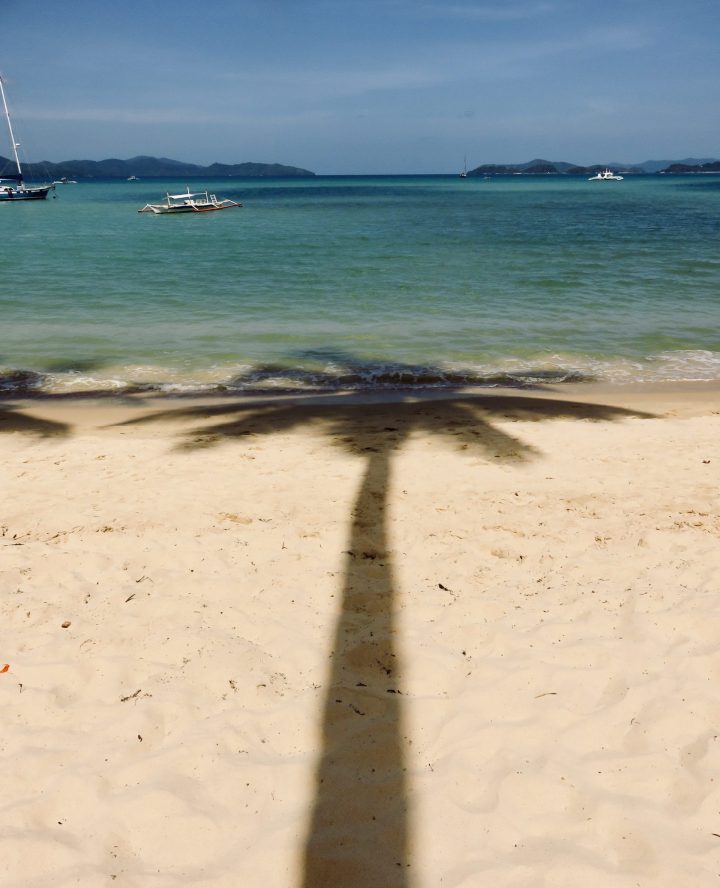 Shadow Palm Tree Port Barton Palawan Philippines Travel Blog