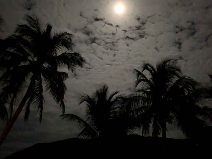 Sunset Palms Pucoy Island Palawan Philippines Travel Blog