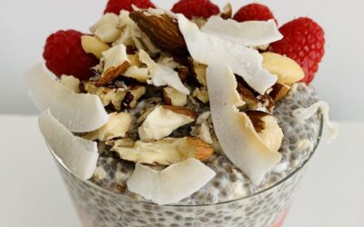 Chia Oatmeal Pudding with Red Fruits