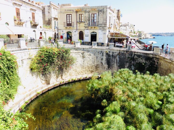 Fontana Aretusa Syracuse Ortygia Southeast Sicily Italy Travel Blog