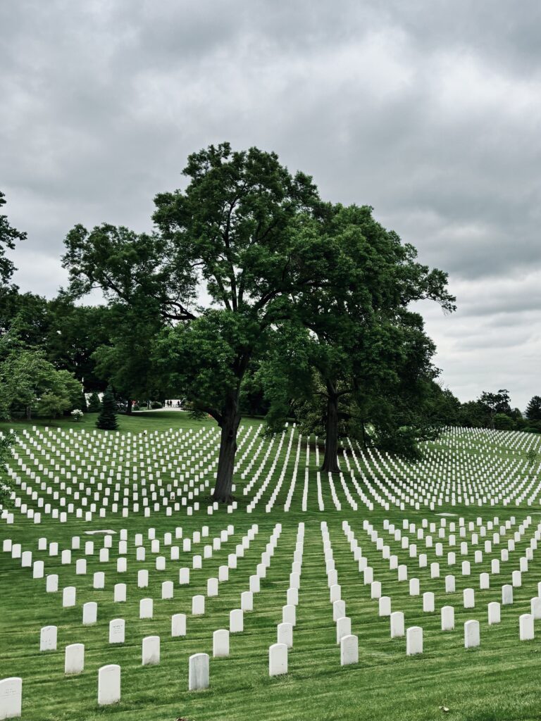 Arlington Tree National Cementry Washington DC US City Trip