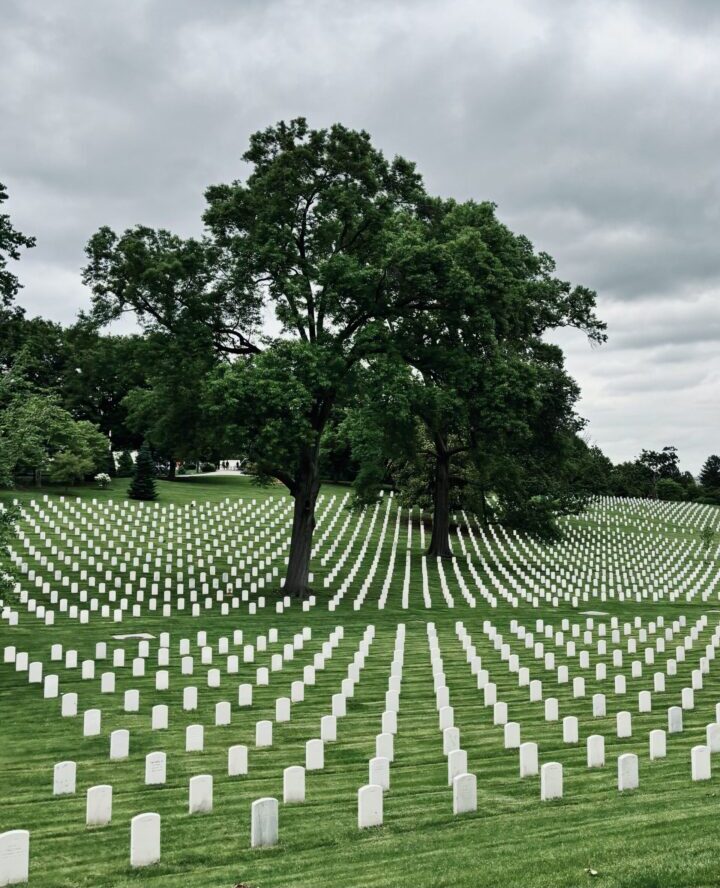 Arlington Tree National Cementry Washington DC US City Trip