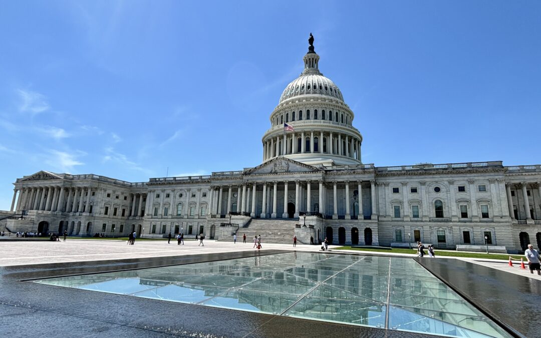 Iconic Government Buildings in Washington DC