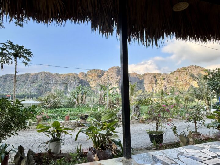 Cat Pet Cafe Tam Coc Ninh Binh Travel Blog Vietnam