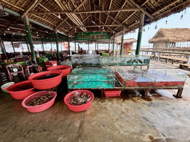 Fresh Fish Lunch Break Easyrider Travel Blog Vietnam