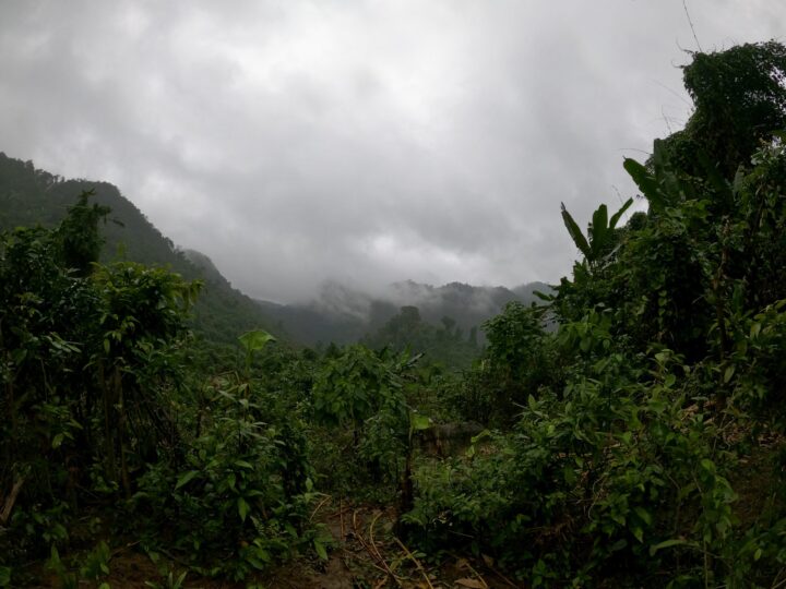 Jungle walk to Hang Tien Cave Travel Blog Phong Nha Vietnam