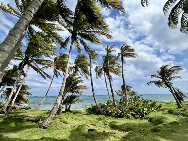 Otto Beach Little Corn Island Nicaragua Travel Blog