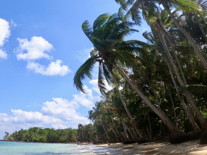 Otto Beach Little Corn Island Nicaragua Travel Blog