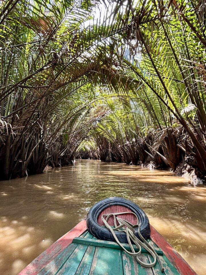 Palm river boat Mekong Delta Can Tho Travel Blog Vietnam Asia