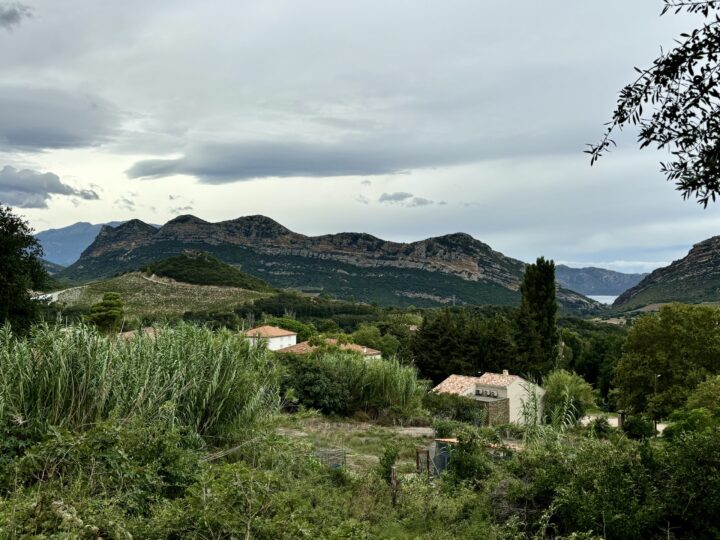 Patrimonio area wine tasting Northwest Corsica Travel Blog France