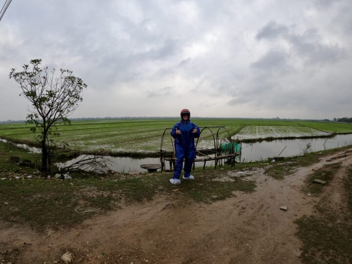 Rice Fields Easyrider Travel Blog Vietnam Asia
